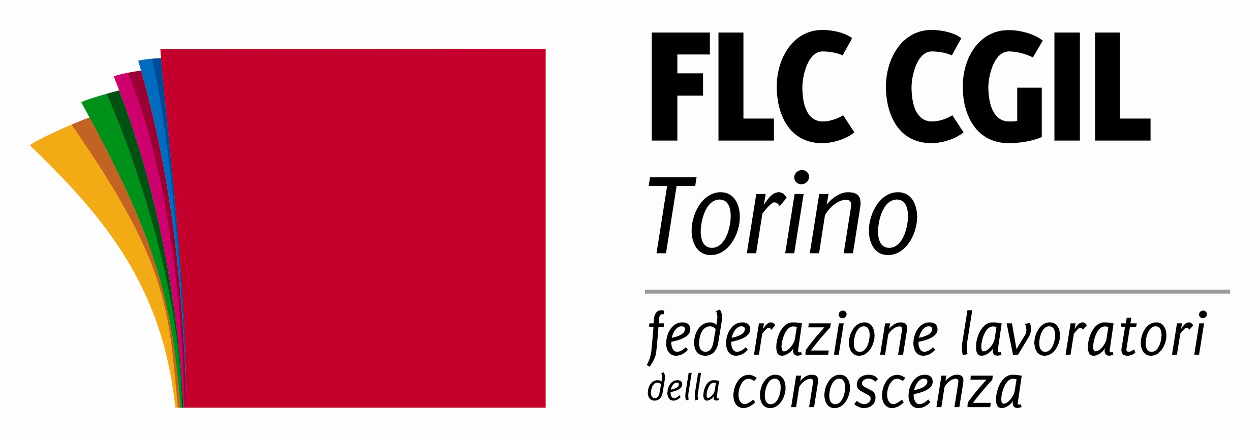 FLC CGIL TORINO